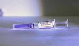 新冠疫苗最新爆料,突破性进展与潜在风险揭秘